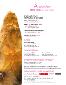 Collection François Bigot Archéologie