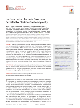 Uncharacterized Bacterial Structures Revealed by Electron Cryotomography
