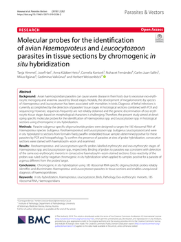 Molecular Probes for the Identification of Avian Haemoproteus and Leucocytozoon Parasites in Tissue Sections by Chromogenic in S