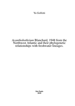 Acanthobothrium Blanchard, 1948 from the Northwest Atlantic and Their Phylogenetic Relationships with Freshwater Lineages