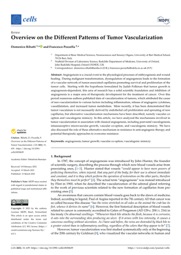 Overview on the Different Patterns of Tumor Vascularization