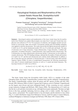 Karyological Analysis and Morphometrics of the Lesser Asiatic House Bat, Scotophilus Kuhlii (Chiroptera, Vespertilionidae)