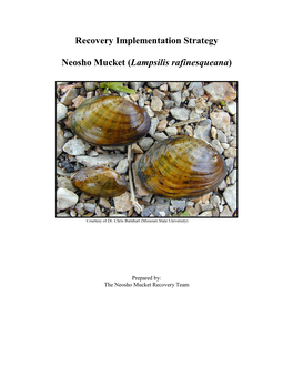 Recovery Implementation Strategy Neosho Mucket (Lampsilis