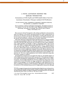 And CD28 (T P44) Induces Autocrine Interleukin 2/Interleukin 2 Receptor-Mediated Cell Proliferation