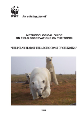 The Polar Bear of the Arctic Coast of Chukotka Download: 1 Mb | *.PDF