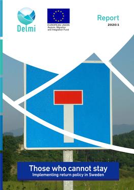 Delmi Rapport 2020:1 Eng (Pdf)