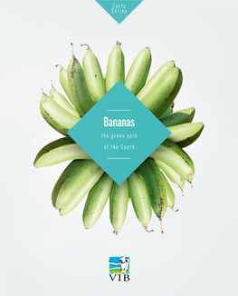 Bananas the Green Gold of the South Table of Contents Abstract 3 Abstract Facts and Figures 4