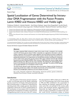 Spatial Localization of Genes Determined by Intranu- Clear DNA Fragmentation with the Fusion Proteins Lamin KRED and Histone
