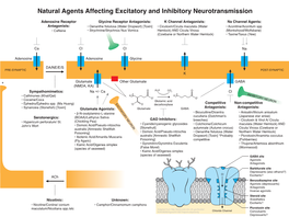 Natural Agents Affecting Excitatory and Inhibitory Neurotransmission