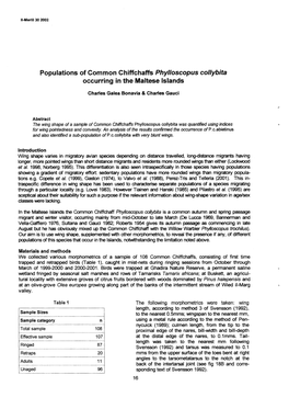 Populations of Common Chiffchaffs Phylloscopus Collybita Occurring in the Maltese Islands