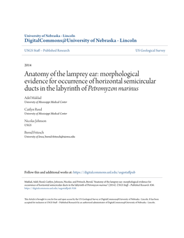 Anatomy of the Lamprey