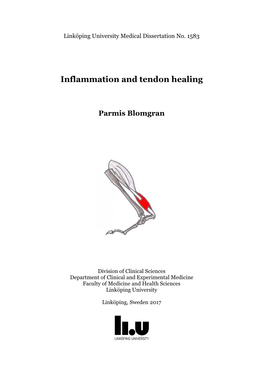 Inflammation and Tendon Healing