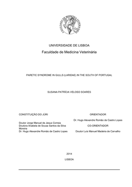 Faculdade De Medicina Veterinária