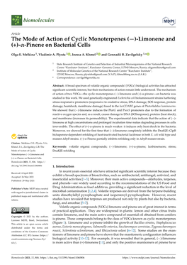 Limonene and (+)-Α-Pinene on Bacterial Cells