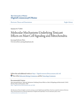 Molecular Mechanisms Underlying Toxicant Effects on Mast Cell Signaling and Mitochondria Juyoung Katherine Shim University of Maine, Juyoung.Shim@Maine.Edu