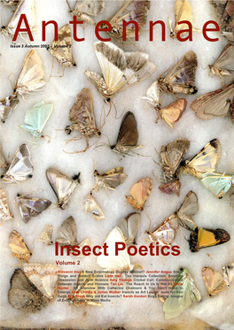 Insect Poetics