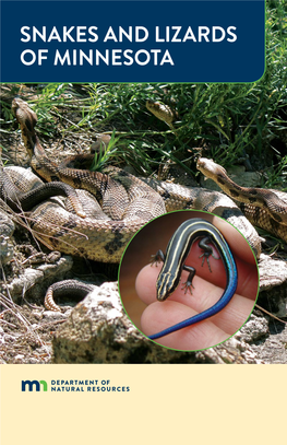 Snake and Lizards of Minnesota