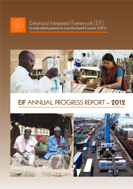 EIF Annual Progress Report – 2012