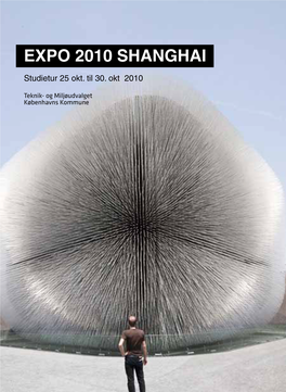 Expo 2010 Shanghai