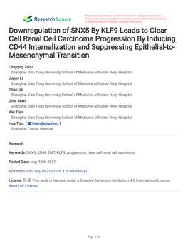 Downregulation of SNX5 by KLF9 Leads to Clear Cell Renal Cell Carcinoma Progression by Inducing CD44 Internalization and Suppres