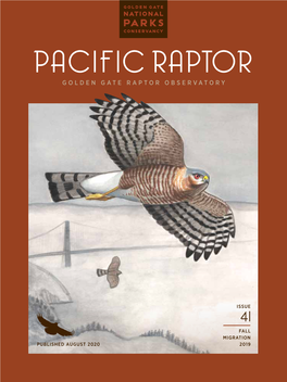 Pacific Raptor 41