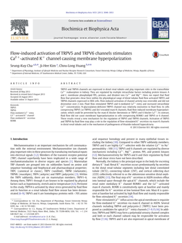 Flow-Induced Activation of TRPV5 and TRPV6 Channels Stimulates Ca2+-Activated K+ Channel Causing Membrane Hyperpolarization