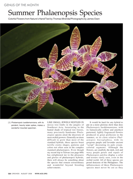 Summer Phalaenopsis Species Colorful Flowers from Nature’S Hand/Text by Thomas Mirenda/Photographs by James Osen