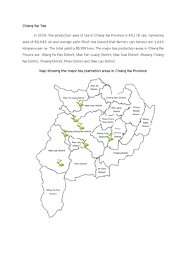 Chiang Rai Tea in 2019, the Production Area of Tea in Chiang