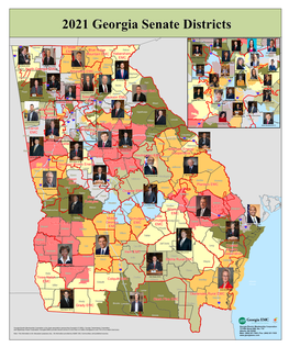 2021 State Senate Legislative Districts