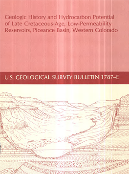 Geologic History and Hydrocarbon Potential of Late Cretaceous-Age, Low-Permeability Reservoirs, Piceance Basin, Western Colorado