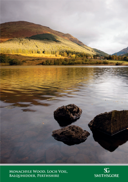 Monachyle Wood, Loch Voil, Balquhidder, Perthshire