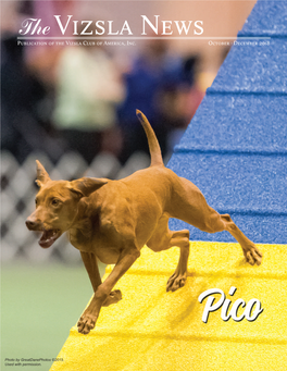 The Vizsla News Publication of the Vizsla Club of America, Inc