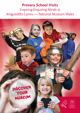 Primary School Visits Inspiring Enquiring Minds at Amgueddfa Cymru — National Museum Wales
