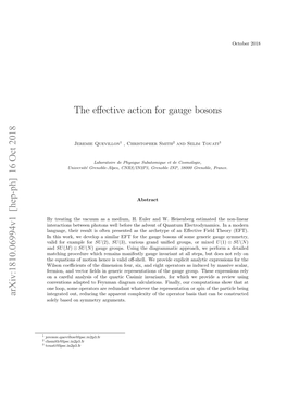 The Effective Action for Gauge Bosons Arxiv:1810.06994V1 [Hep-Ph]