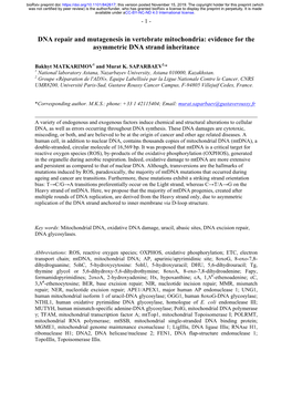 DNA Repair and Mutagenesis in Vertebrate Mitochondria: Evidence for the Asymmetric DNA Strand Inheritance