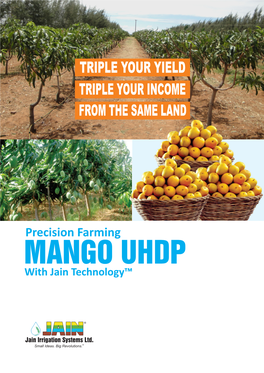 MANGO UHDP with Jain Technology™ MANGO - ULTRA HIGH DENSITY PLANTATION You Have Always Wished That You Had More Land and More Trees to Grow More Mangoes