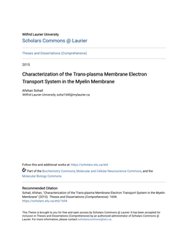 Trans-Plasma Membrane Electron Transport System in the Myelin Membrane