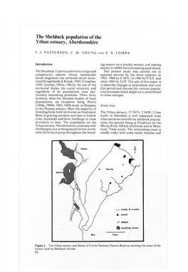 The Shelduck Population of the Ythan Estuary, Aberdeenshire