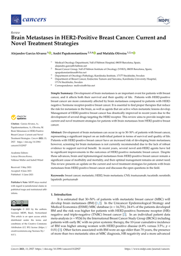 Brain Metastases in HER2-Positive Breast Cancer: Current and Novel Treatment Strategies