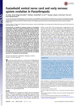 Fuxianhuiid Ventral Nerve Cord and Early Nervous System Evolution in Panarthropoda