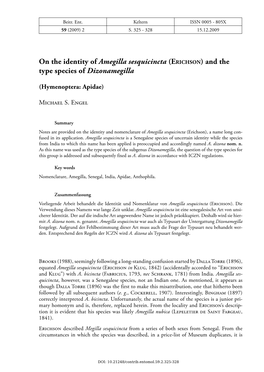 On the Identity of Amegilla Sesquicincta (ERICHSON) and the Type Species of Dizonamegilla