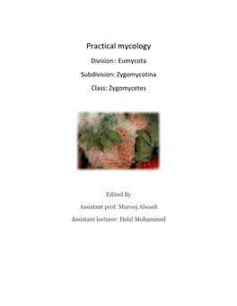 Practical Mycology