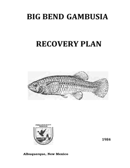 Big Bend Gambusia Recovery Plan