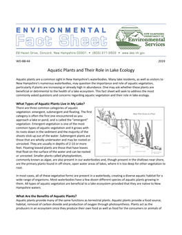 Aquatic Plants and Their Role in Lake Ecology