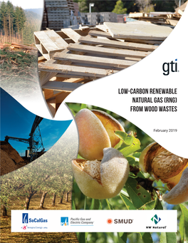 Low-Carbon Renewable Natural Gas (RNG) from Wood Wastes