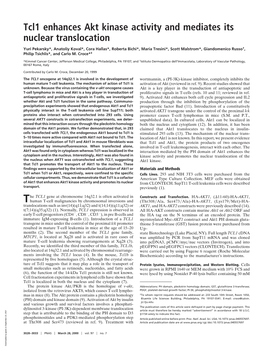 Tcl1 Enhances Akt Kinase Activity and Mediates Its Nuclear Translocation