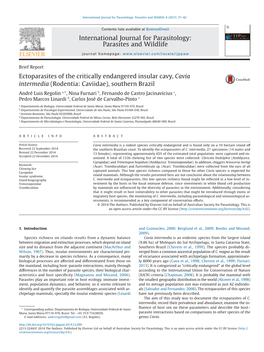 Ectoparasites of the Critically Endangered Insular Cavy, Cavia Intermedia