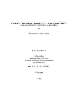 Ritaumaria De Jesus Pereira a DISSERTATION Submitted To