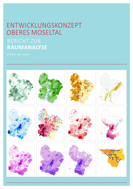 Entwicklungskonzept Oberes Moseltal