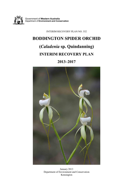 Caladenia Sp. Quindanning)